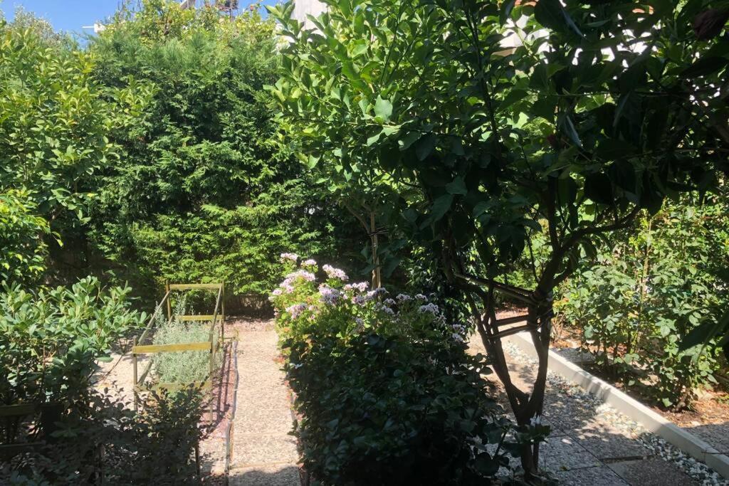 Willa Ανακαινισμενη Μονοκατοικια 125 Τμ Στο Κεντρο Με Κηπο Mesolóngion Zewnętrze zdjęcie